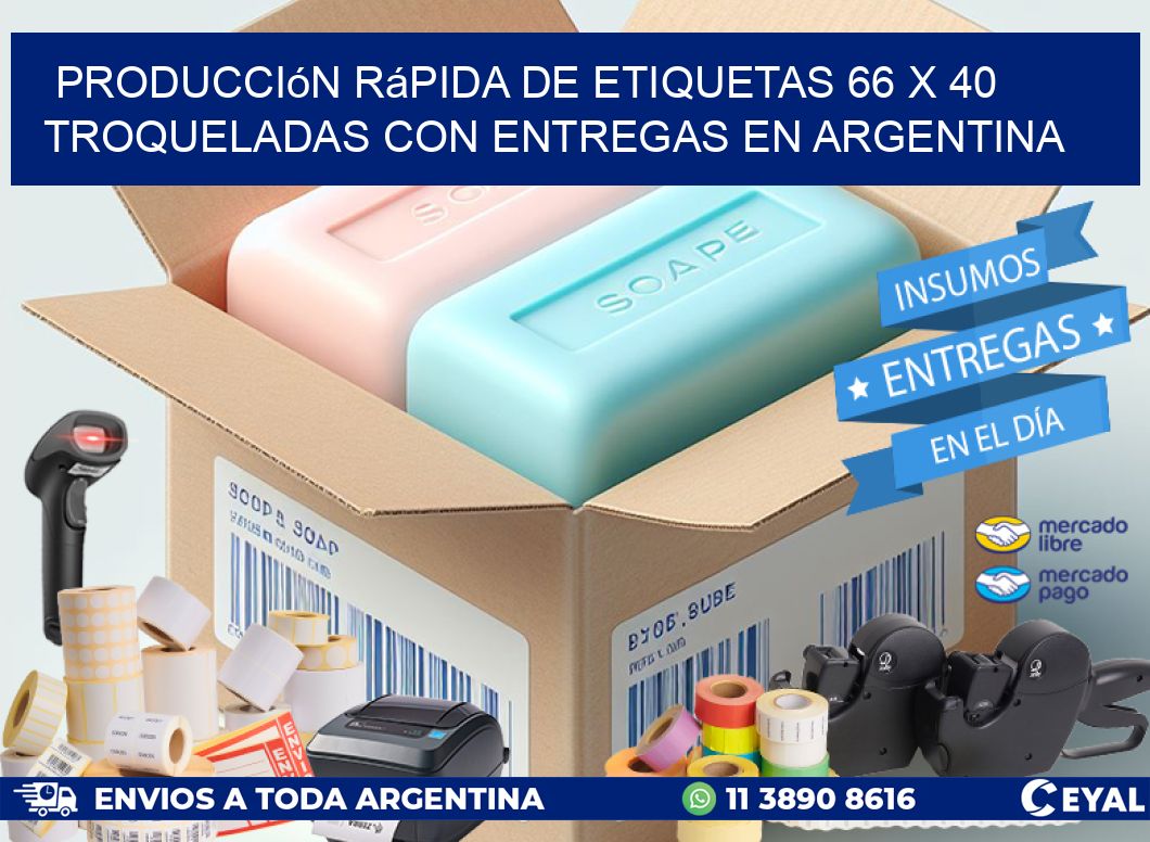 Producción rápida de etiquetas 66 x 40 troqueladas con entregas en Argentina