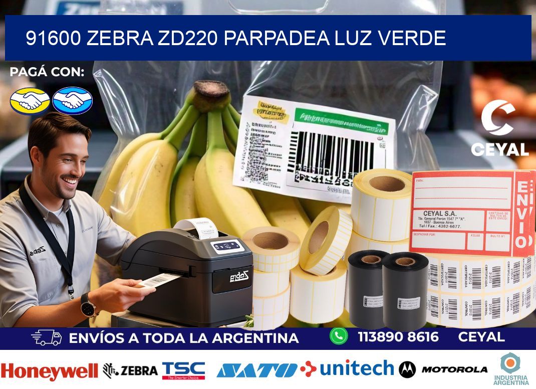91600 Zebra ZD220 parpadea luz verde