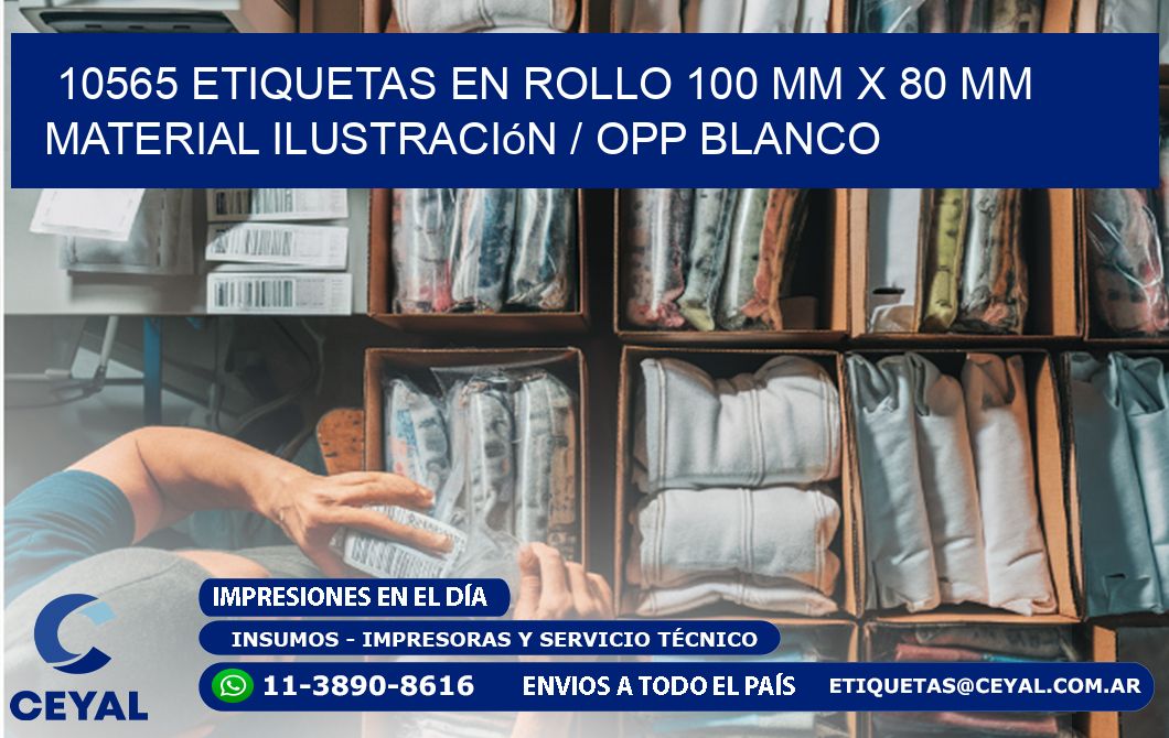 10565 Etiquetas en rollo 100 mm x 80 mm material Ilustración / OPP Blanco