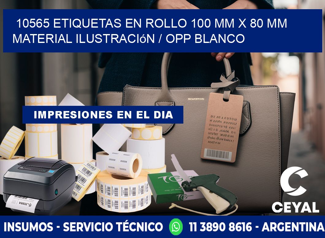 10565 Etiquetas en rollo 100 mm x 80 mm material Ilustración / OPP Blanco
