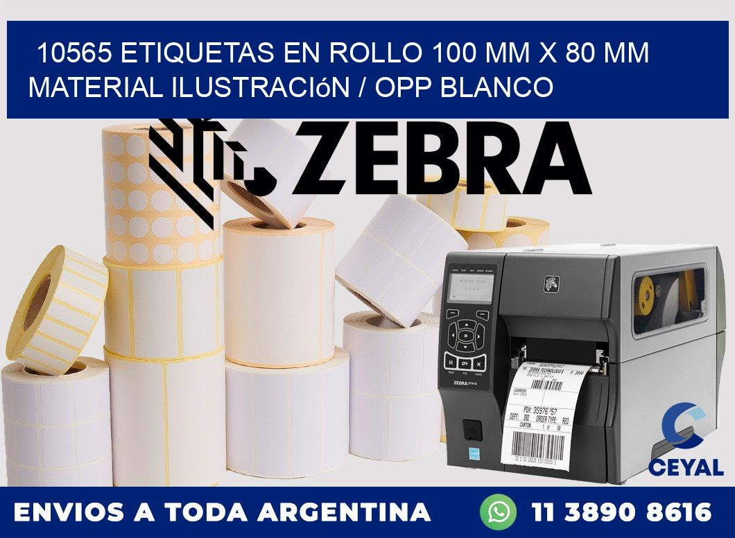 10565 Etiquetas en rollo 100 mm x 80 mm material Ilustración / OPP Blanco
