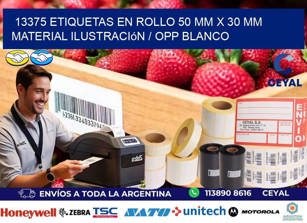 13375 Etiquetas en rollo 50 mm x 30 mm material Ilustración / OPP Blanco