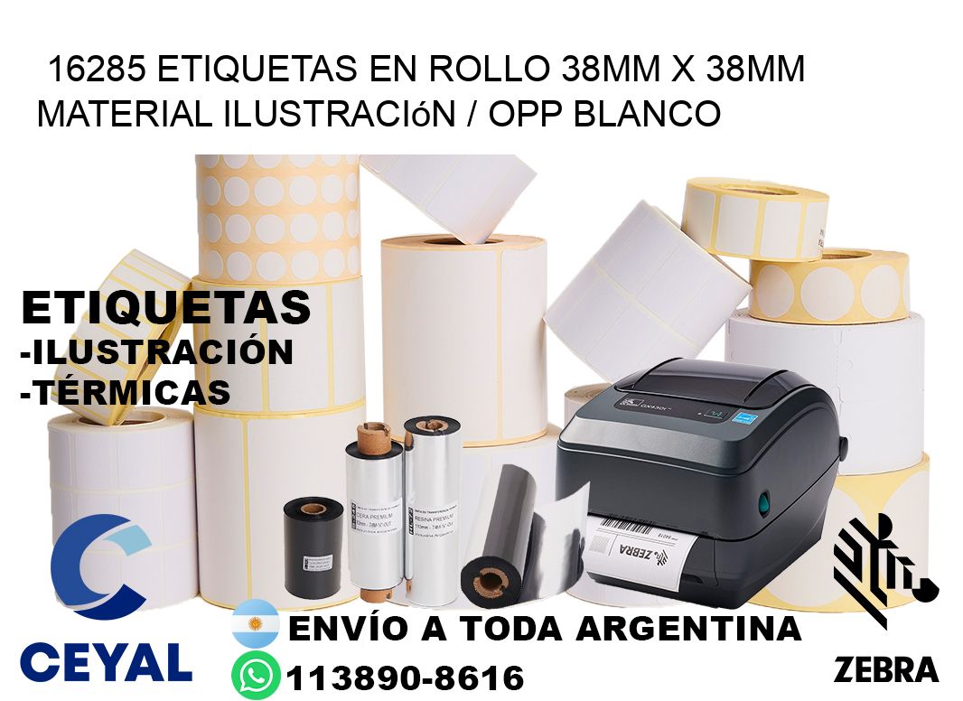16285 Etiquetas en rollo 38mm x 38mm material Ilustración / OPP Blanco