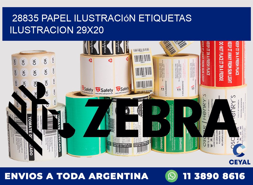 28835 papel ilustración Etiquetas Ilustracion 29x20