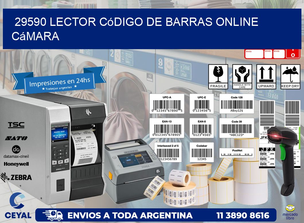 29590 Lector código de barras online cámara