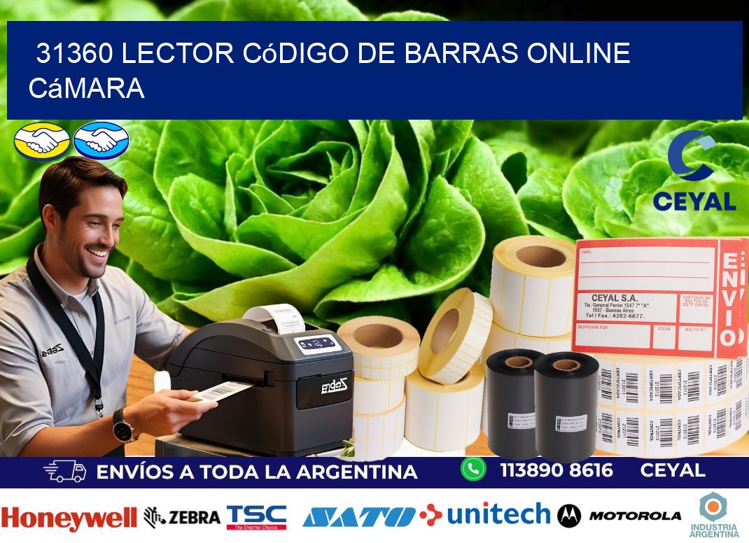 31360 Lector código de barras online cámara