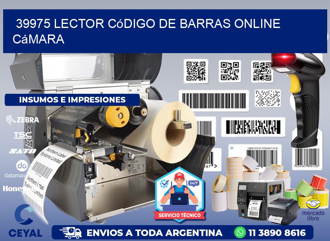 39975 Lector código de barras online cámara