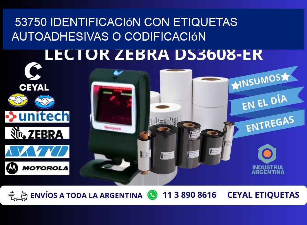 53750 identificación con etiquetas autoadhesivas o codificación