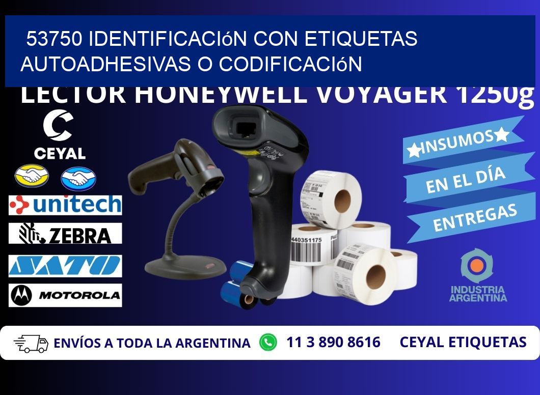 53750 identificación con etiquetas autoadhesivas o codificación