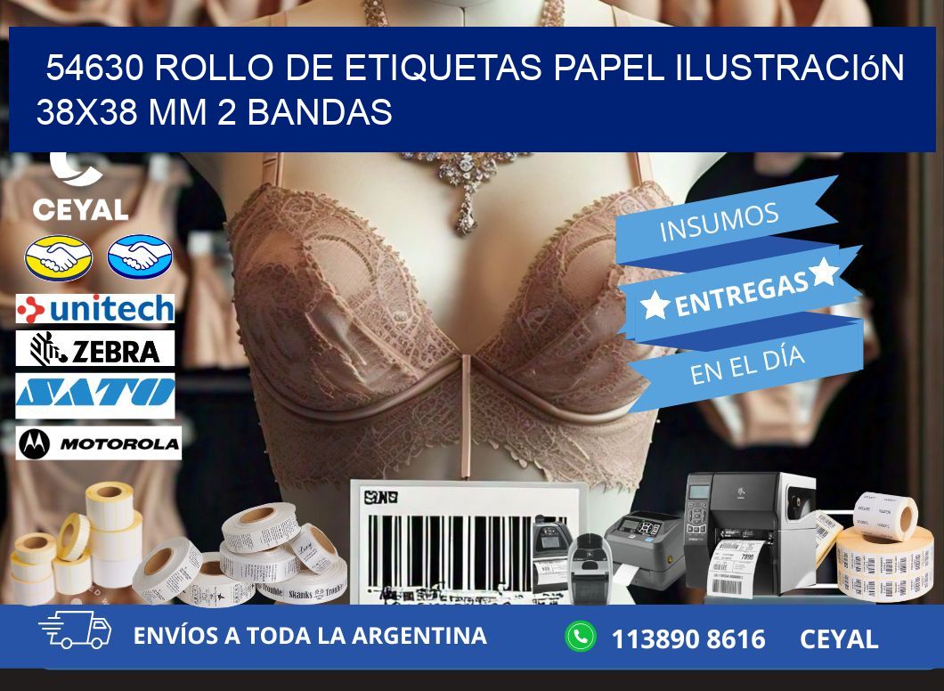 54630 Rollo de Etiquetas Papel Ilustración 38×38 Mm 2 Bandas