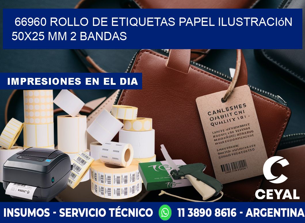 66960 Rollo de Etiquetas Papel Ilustración 50x25 Mm 2 Bandas