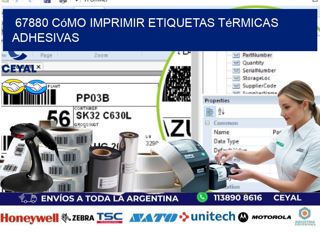 67880 cómo imprimir etiquetas térmicas adhesivas