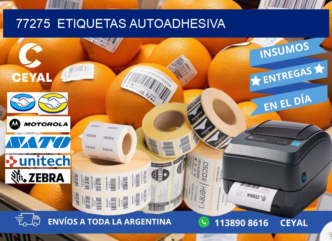 77275 etiquetas autoadhesiva
