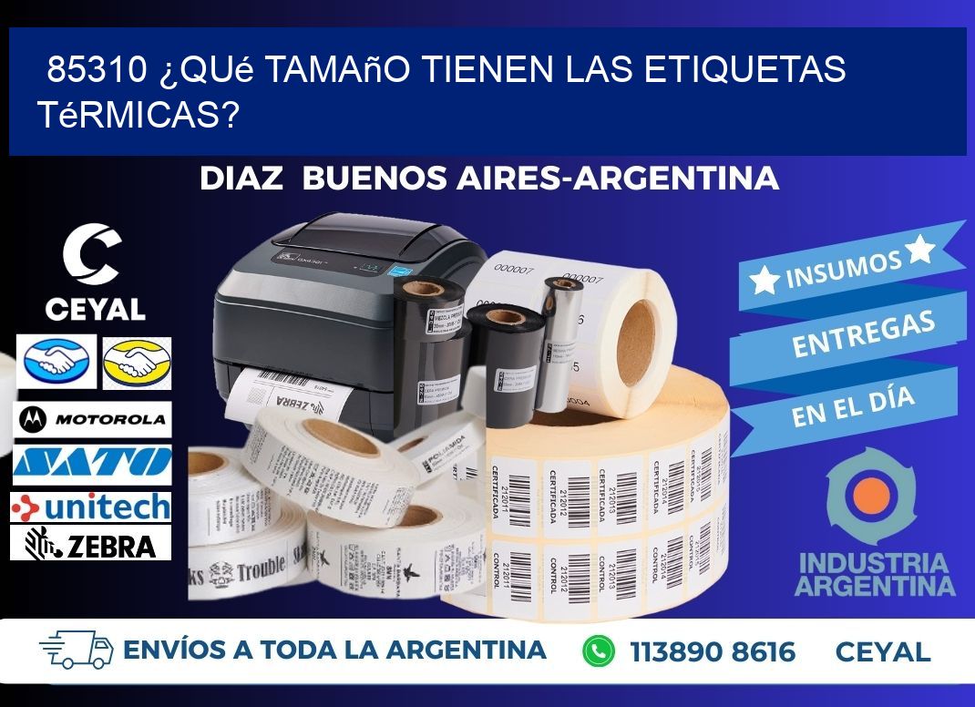 85310 ¿Qué tamaño tienen las etiquetas térmicas?