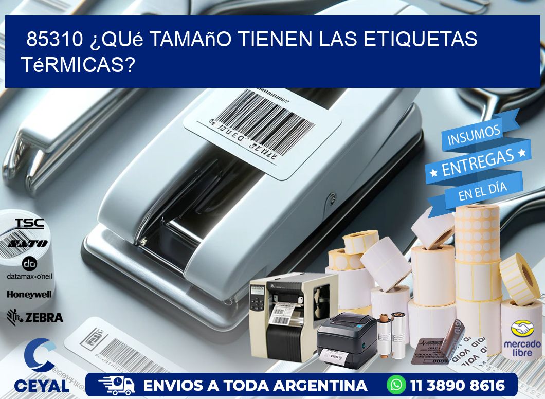 85310 ¿Qué tamaño tienen las etiquetas térmicas?