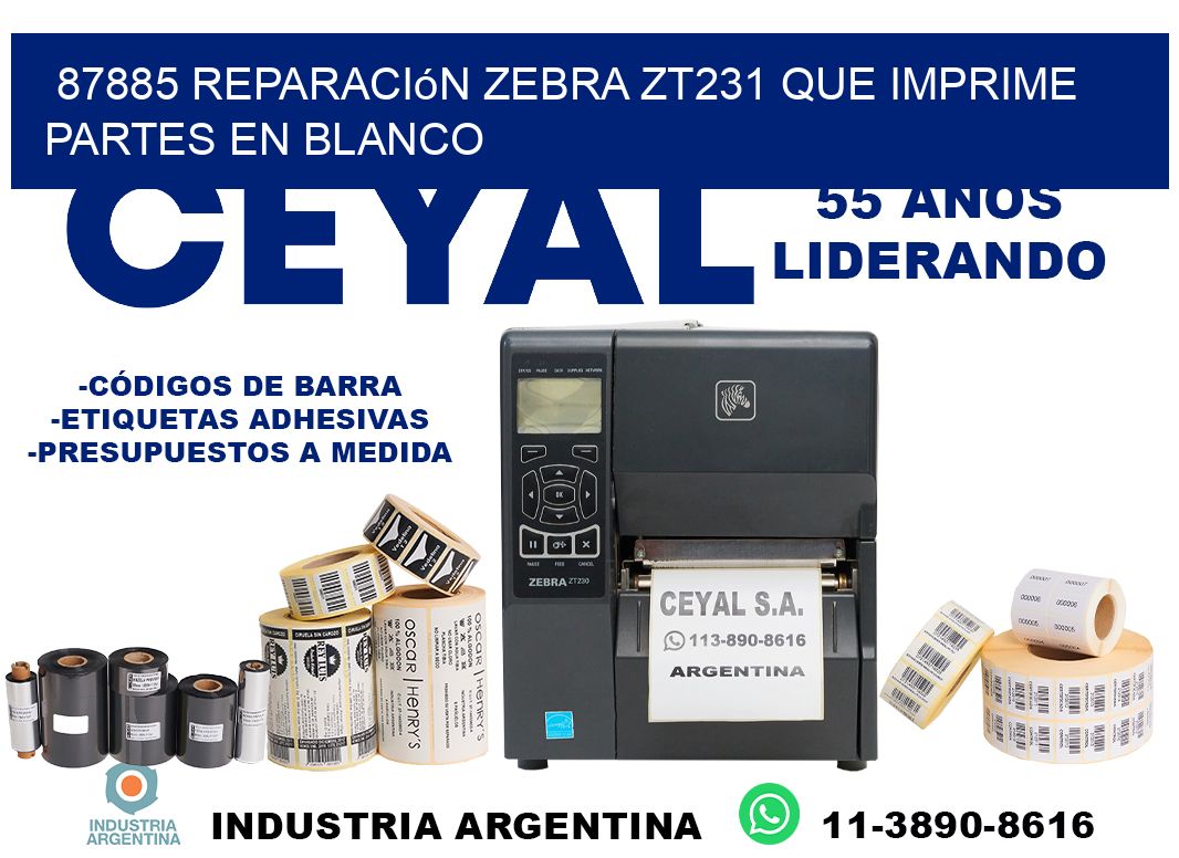 87885 reparación zebra zt231 que imprime partes en blanco