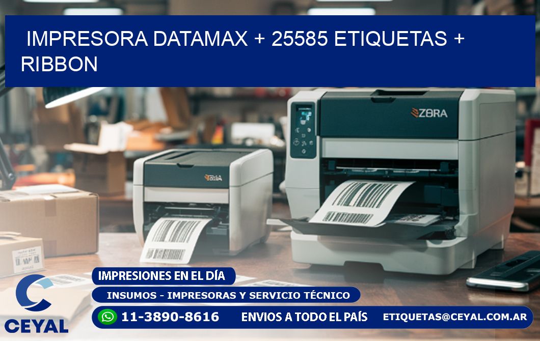 impresora DATAMAX + 25585 etiquetas + ribbon