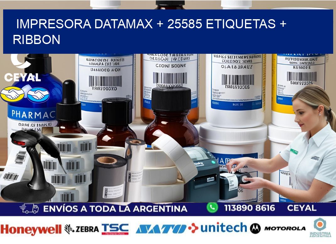 impresora DATAMAX + 25585 etiquetas + ribbon