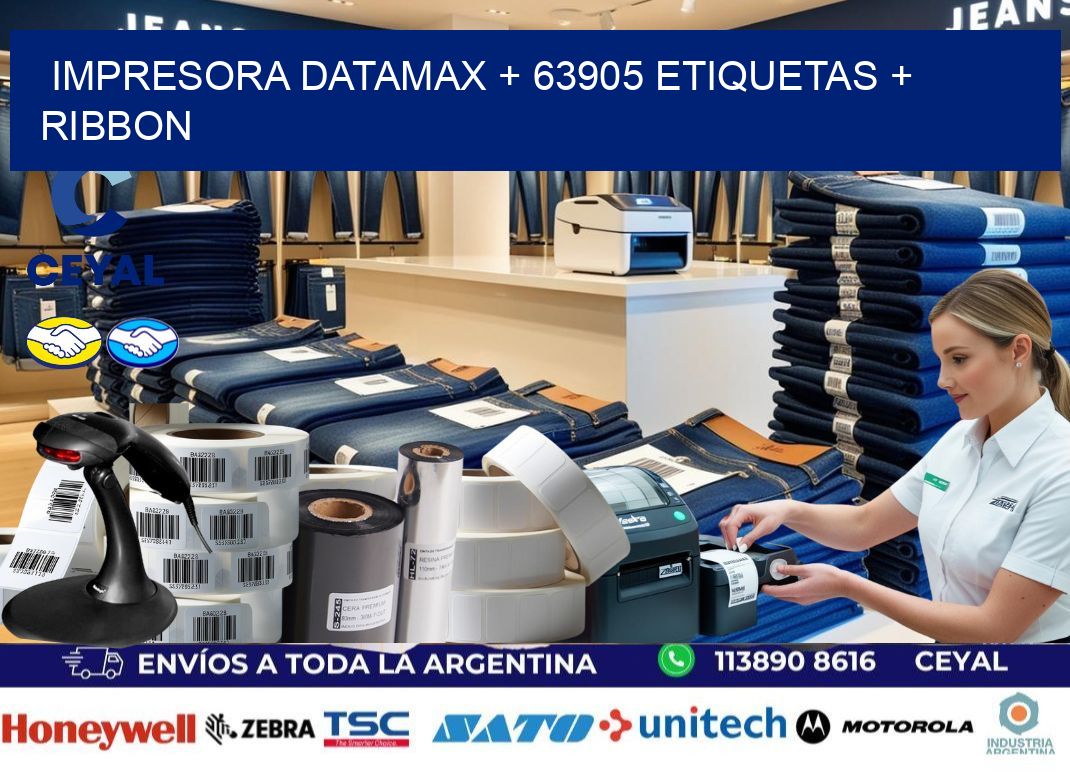 impresora DATAMAX + 63905 etiquetas + ribbon