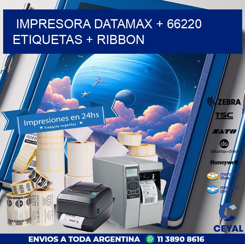 impresora DATAMAX + 66220 etiquetas + ribbon