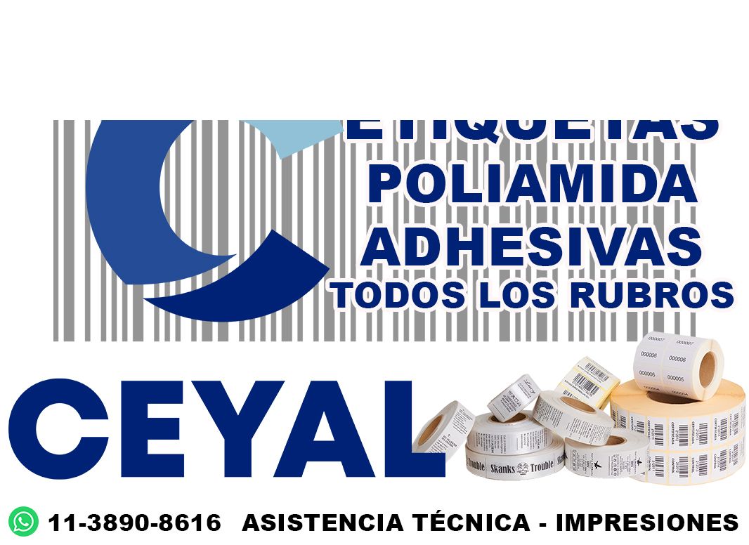 impresora DATAMAX + 66220 etiquetas + ribbon