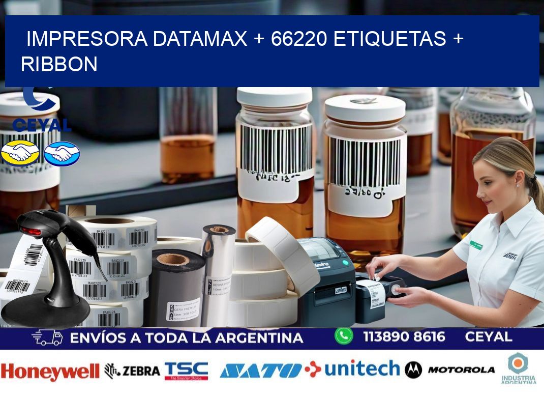 impresora DATAMAX + 66220 etiquetas + ribbon