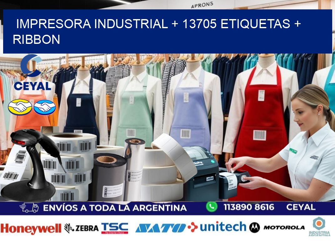 impresora industrial + 13705 etiquetas + ribbon