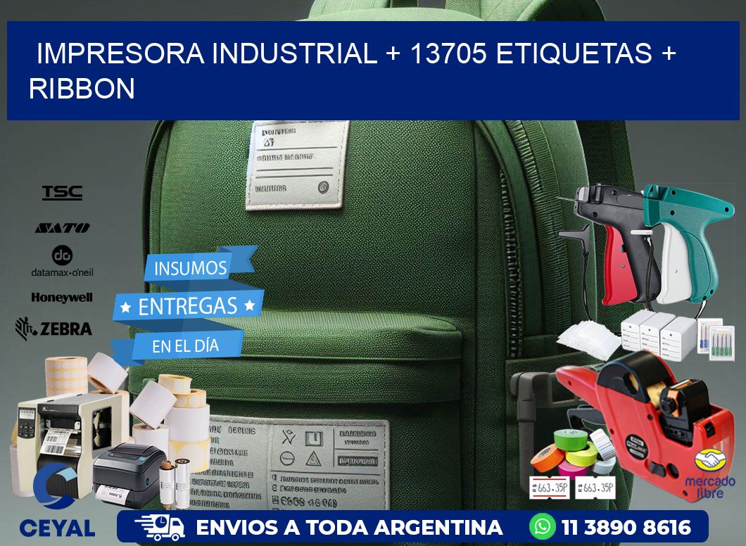 impresora industrial + 13705 etiquetas + ribbon