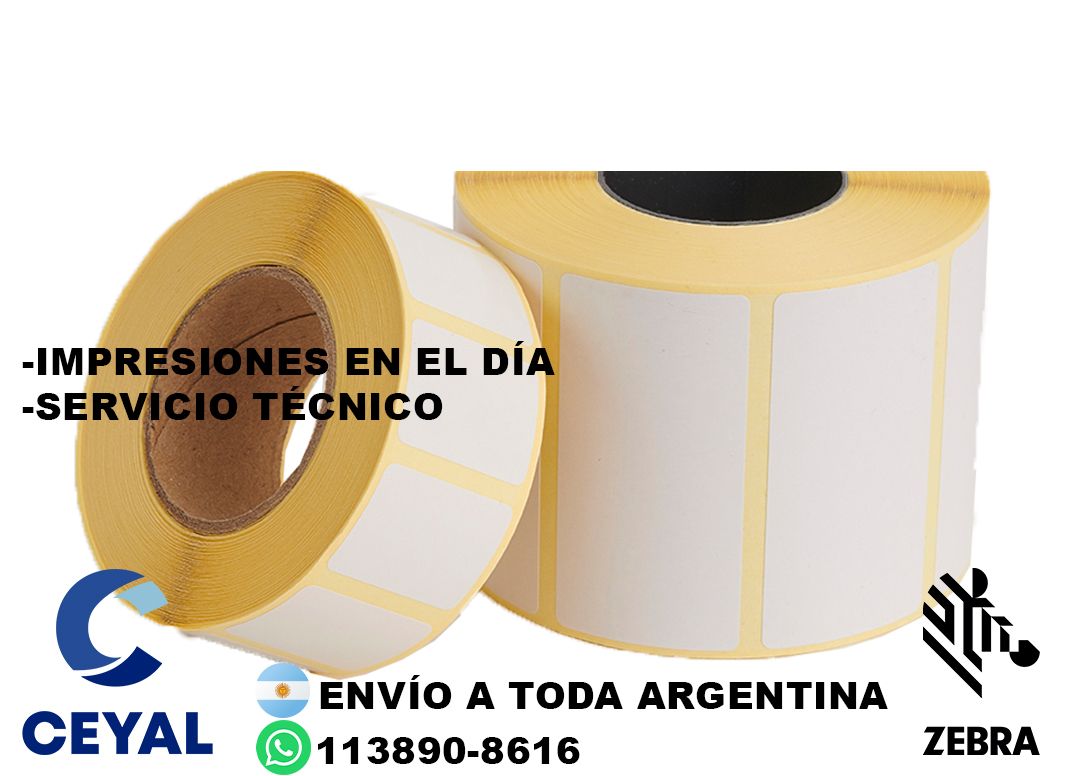 impresora industrial + 91610 etiquetas + ribbon