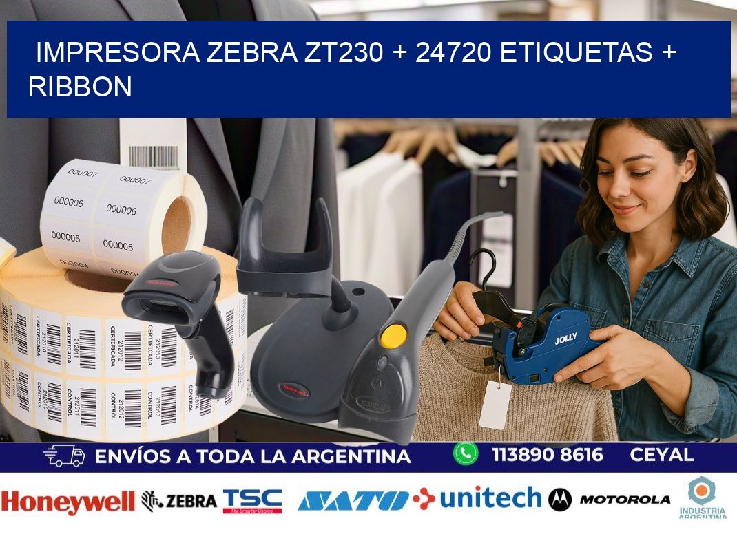 impresora zebra zt230 + 24720 etiquetas + ribbon