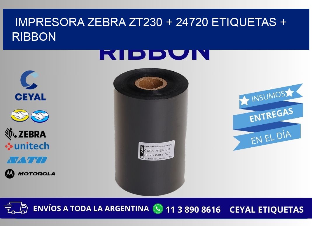 impresora zebra zt230 + 24720 etiquetas + ribbon