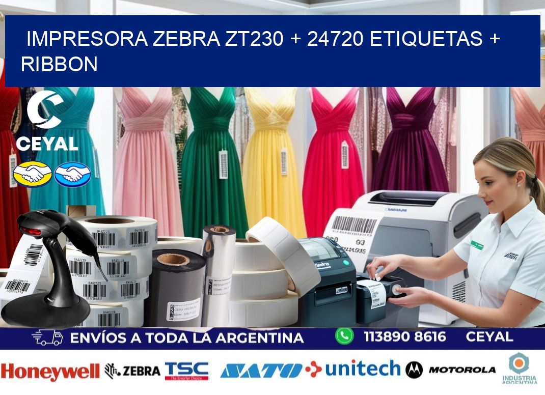 impresora zebra zt230 + 24720 etiquetas + ribbon