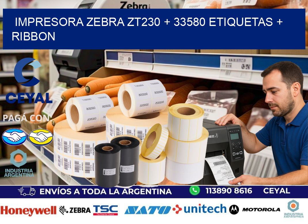 impresora zebra zt230 + 33580 etiquetas + ribbon
