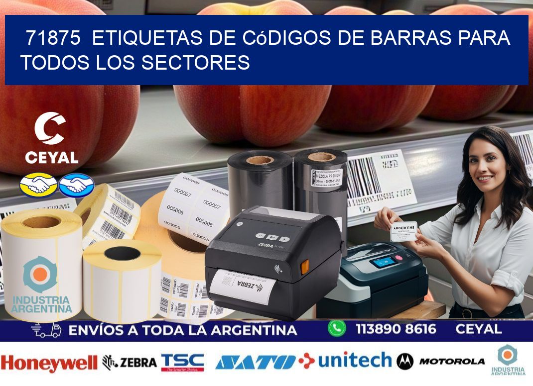 ️71875 Etiquetas de Códigos de Barras para Todos los Sectores