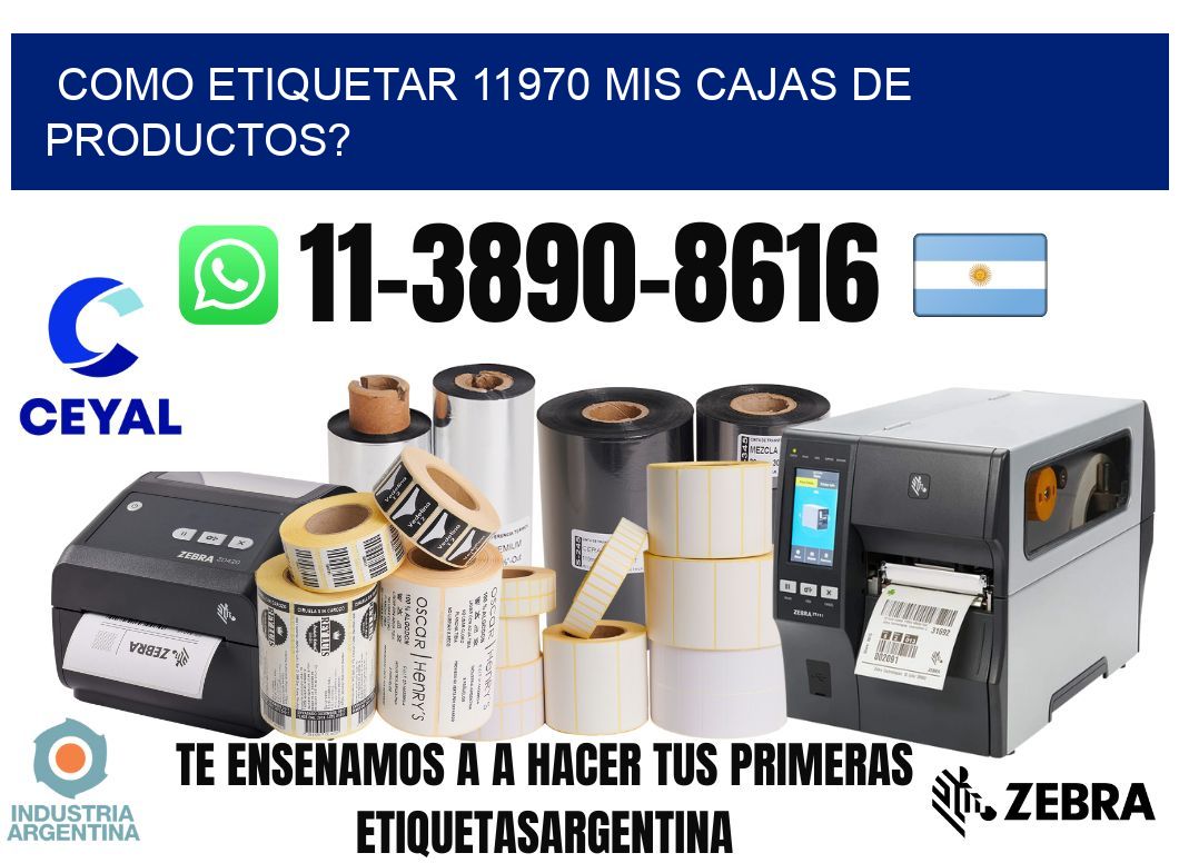 como etiquetar 11970 mis cajas de productos?