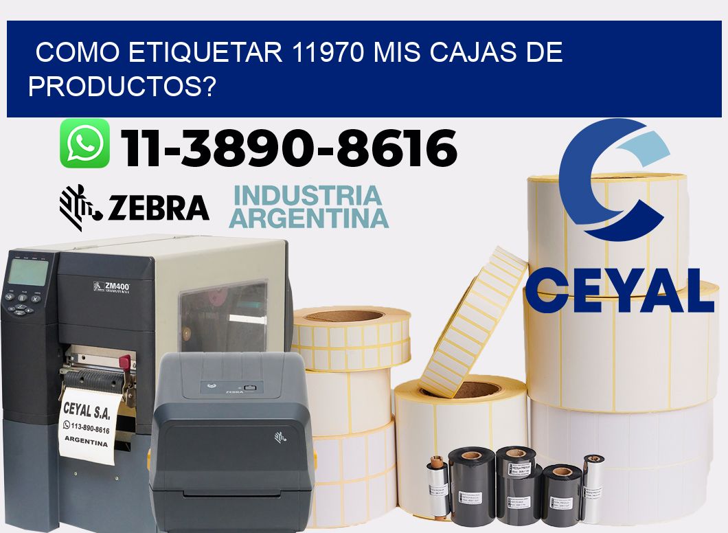 como etiquetar 11970 mis cajas de productos?