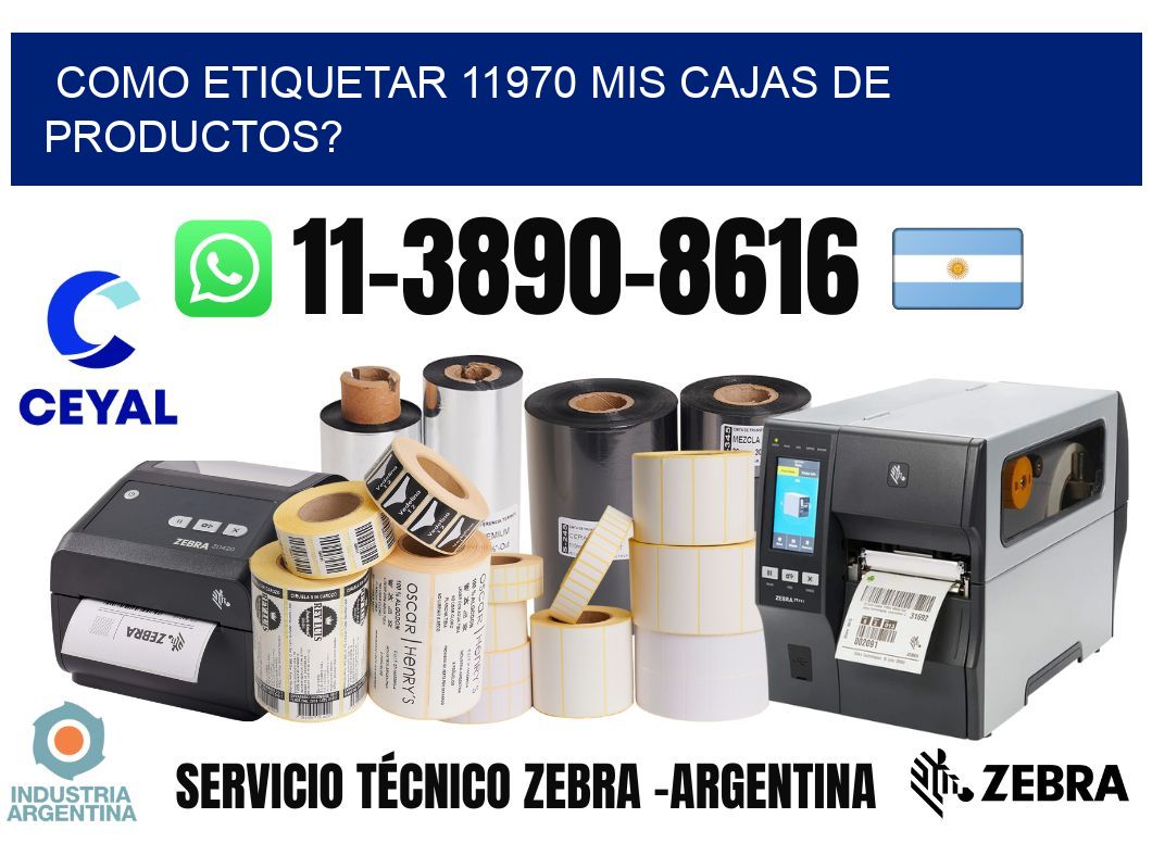 como etiquetar 11970 mis cajas de productos?