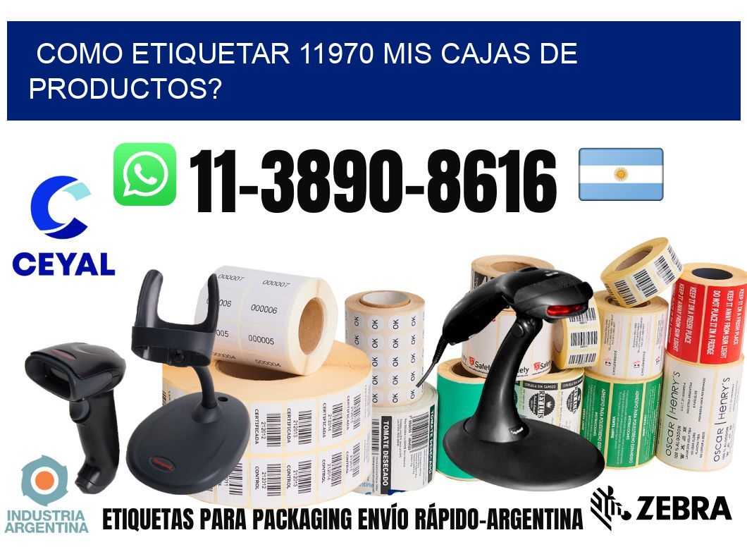 como etiquetar 11970 mis cajas de productos?