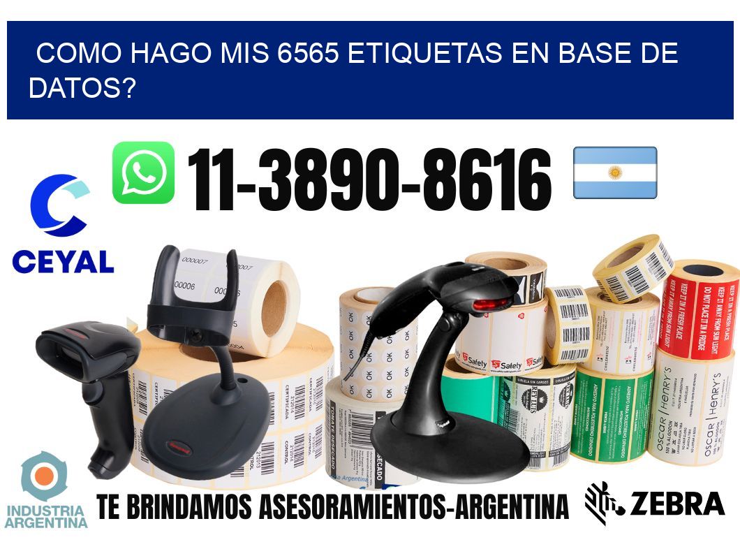como hago mis 6565 etiquetas en base de datos?