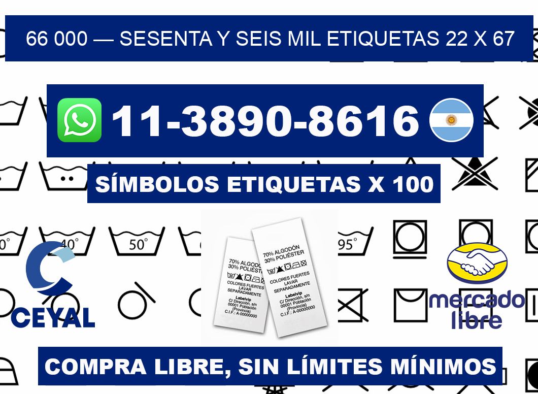 66 000 — sesenta y seis mil etiquetas 22 x 67