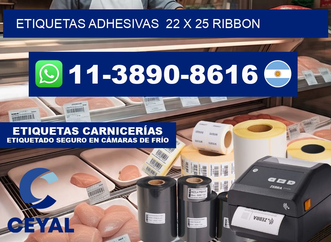 Etiquetas adhesivas 22 x 25 ribbon