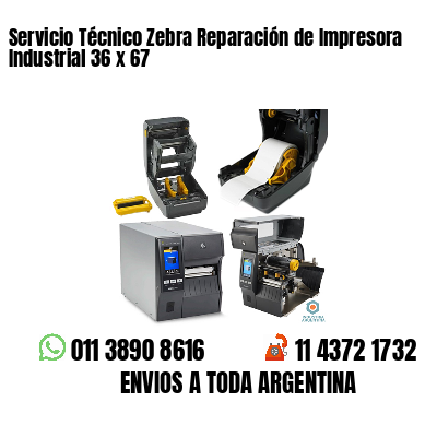 Servicio Técnico Zebra Reparación de Impresora Industrial 36 x 67