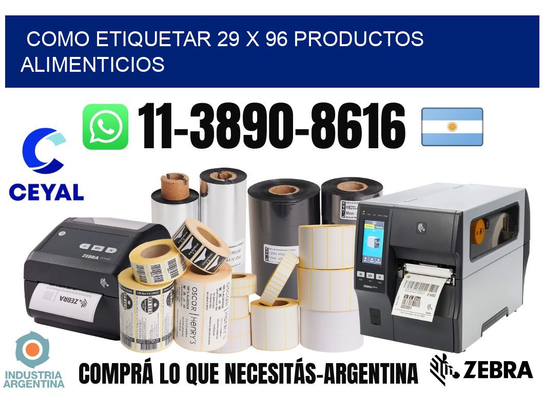 como etiquetar 29 x 96 productos alimenticios