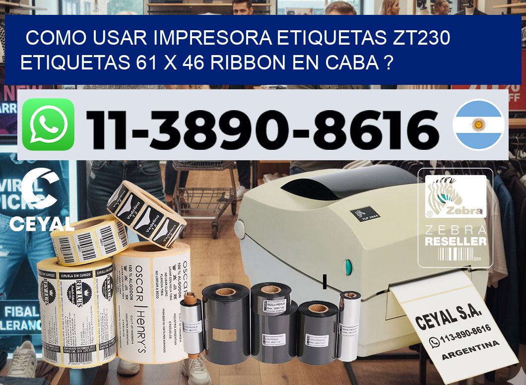 como usar impresora etiquetas zt230 etiquetas 61 x 46 ribbon en CABA ?