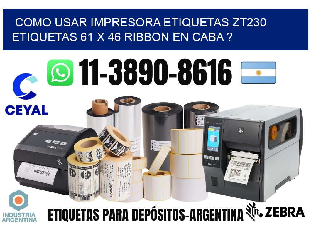 como usar impresora etiquetas zt230 etiquetas 61 x 46 ribbon en CABA ?