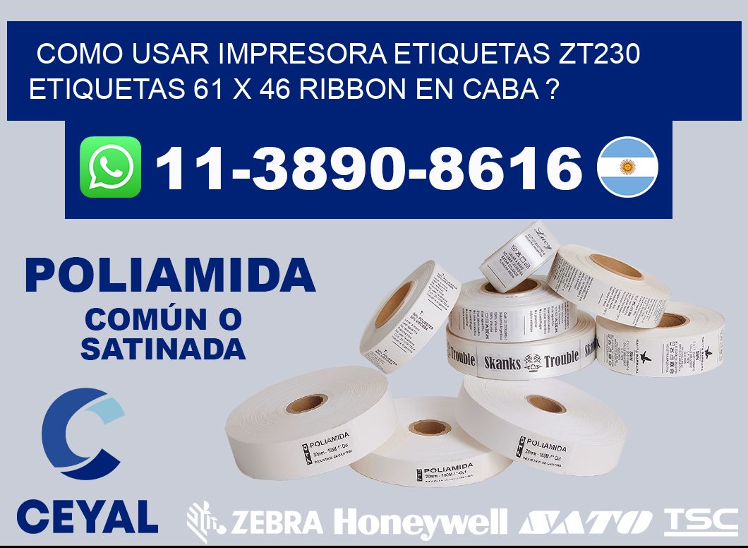como usar impresora etiquetas zt230 etiquetas 61 x 46 ribbon en CABA ?