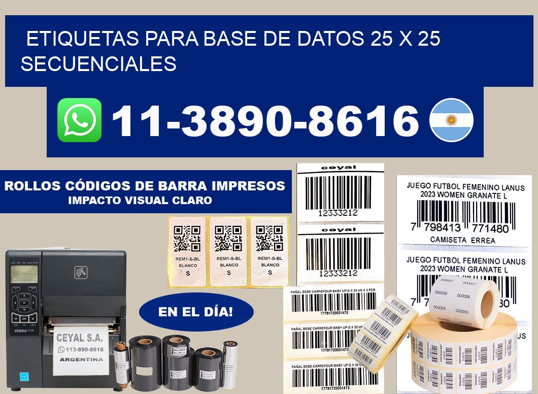 etiquetas para base de datos 25 x 25 secuenciales