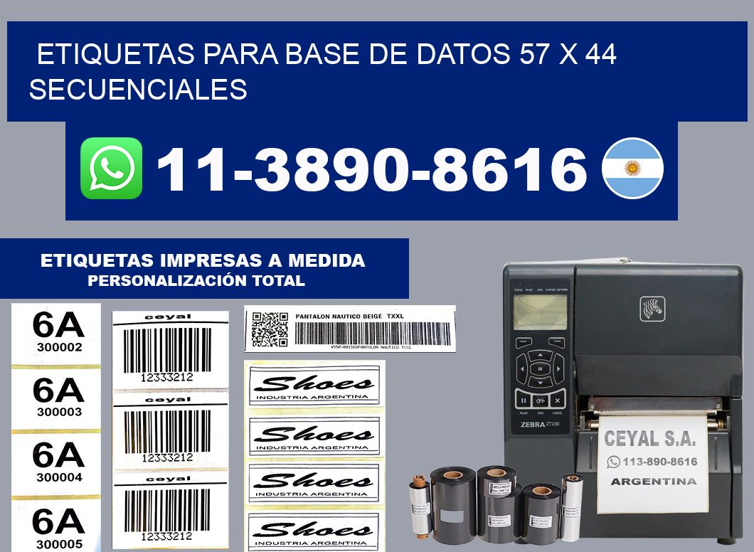 etiquetas para base de datos 57 x 44 secuenciales