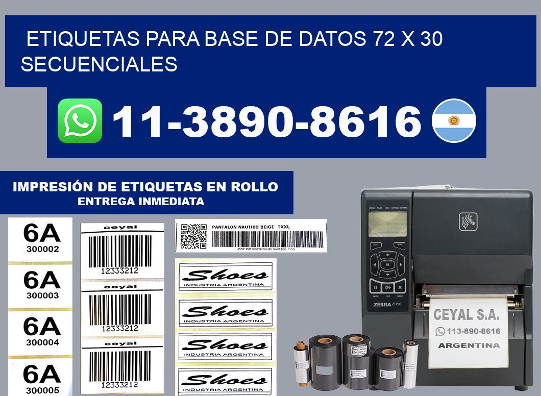etiquetas para base de datos 72 x 30 secuenciales