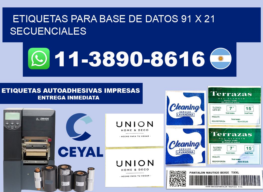 etiquetas para base de datos 91 x 21 secuenciales